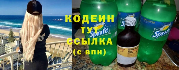 спиды Арсеньев